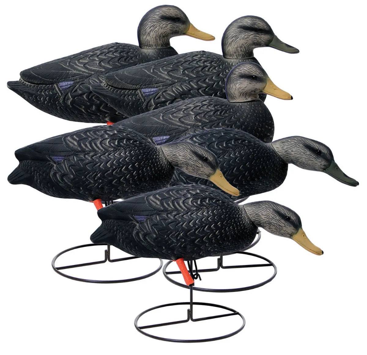 Magnum Full-Body Black Duck Decoy